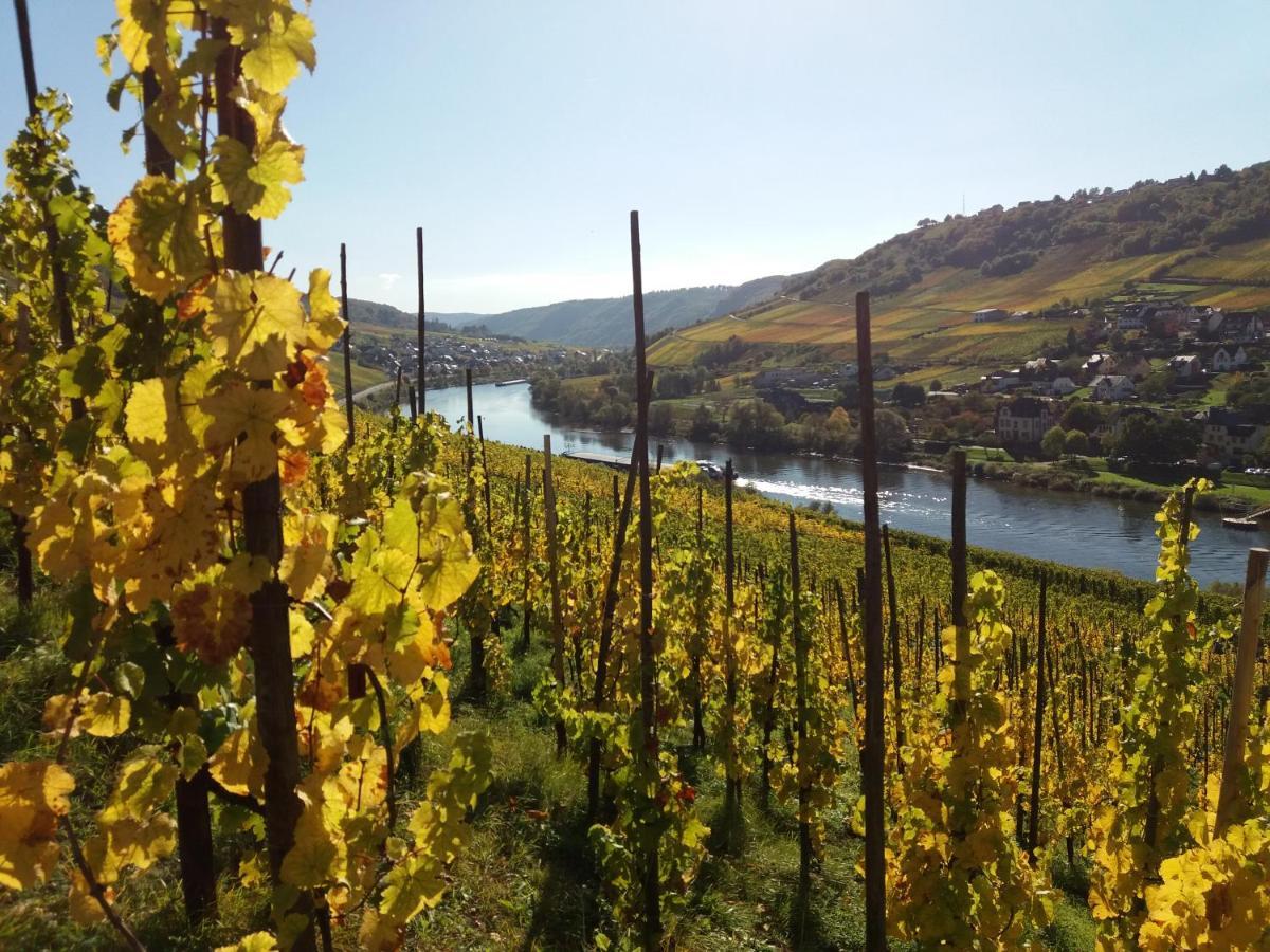 Apartamento Weingut Matthias Dauns Reil Exterior foto